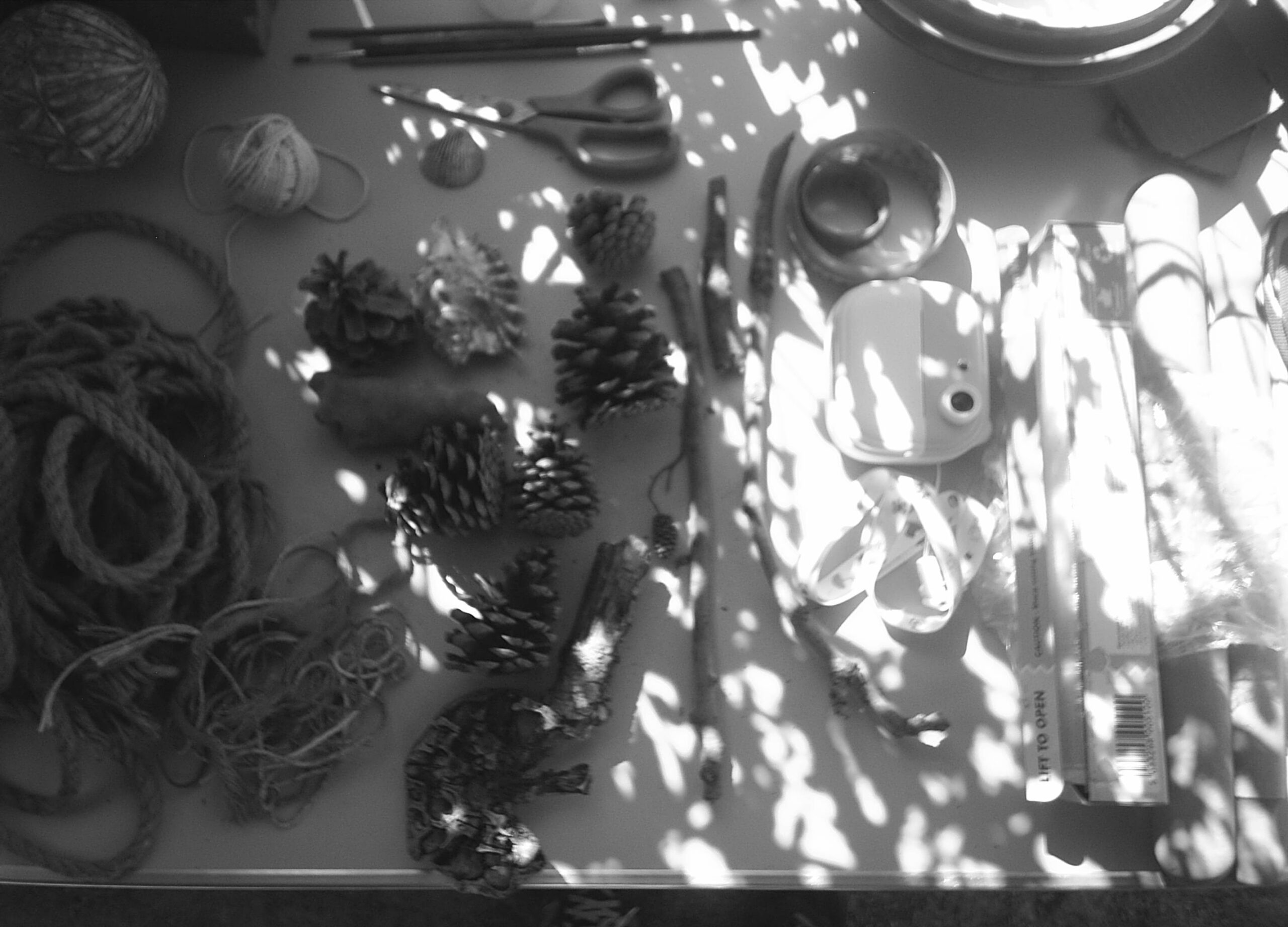 Drawing With Clay